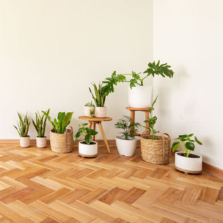 Parquet Herringbone