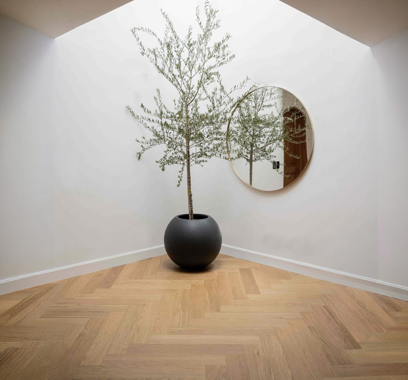 Proyecto YM — Las Condes